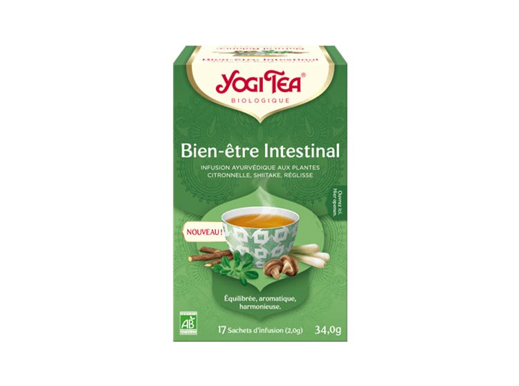 Yogi Tea Bien-Être Intestinal Infusion Ayurvédique Bio 17 sachets