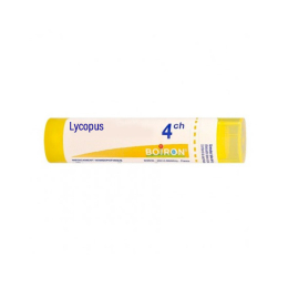 Boiron Lycopus 4CH Tube  - 4g