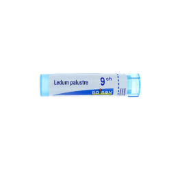 Boiron Ledum palustre 9CH Dose - 1g