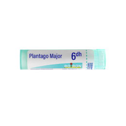 Boiron Plantago Major 6DH Tube - 4 g