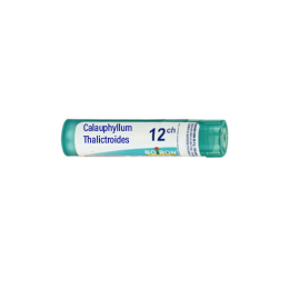 Boiron Caulophyllum Thalictroides 12CH Dose - 1 g