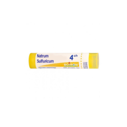 Boiron Natrum Sulfuricum 4CH Dose - 1 g