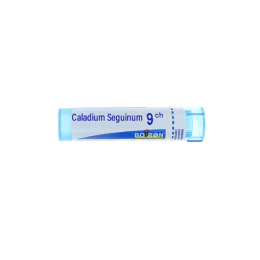 Boiron Caladium Seguinum 9CH Dose - 1g