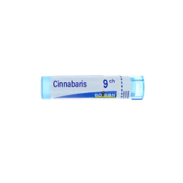 Boiron Cinnabaris 9CH Dose - 1g