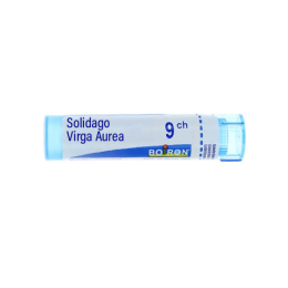 Boiron Solidago Virga Aurea 9CH Tube - 4 g