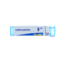 Boiron Ledum palustre 9CH Tube - 4g