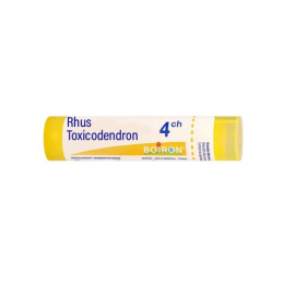 Boiron Rhus Toxicodendron 4CH Tube - 4 g