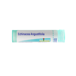 Boiron Echinacea Angustifolia 4DH Tube - 4 g