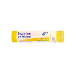 Boiron Eupatorium perfoliatum 4CH Tube - 4g