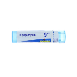 Boiron Harpagophytum 9CH Tube - 4g