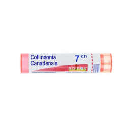 Boiron Collinsonia Canadensis 7CH Tube - 4g