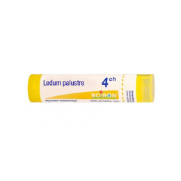 Boiron Ledum palustre 4CH Tube - 4g