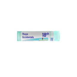 Boiron Thuya Occidentalis 18CH Dose - 1 g