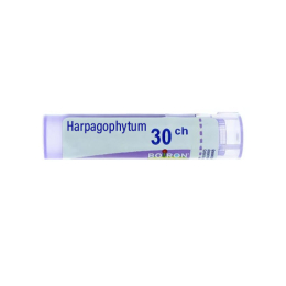 Boiron Harpagophytum 30CH Tube - 4 g