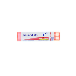 Boiron Ledum palustre 7CH Dose - 1g