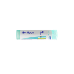 Boiron Ribes Nigrum 1DH Dose - 1 g