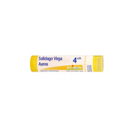 Boiron Solidago Virga Aurea 4CH Dose - 1 g