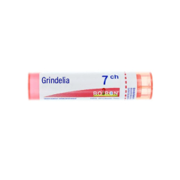 Boiron Grindelia 7CH Tube - 4g