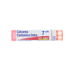 Boiron Calcarea Carbonica Ostrearum 7CH Tube - 4 g