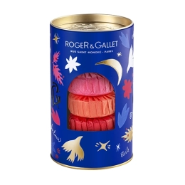 Coffret Noël 2024 - 3 Savons Bienfaisants Fleur de Figuier,  Gingembre Rouge et Rose