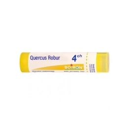 Quercus Robur Tube 4CH - 4g