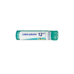 Boiron Ledum palustre 12CH Dose - 1g