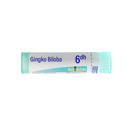 Boiron Gingko Biloba 6DH Tube - 4g