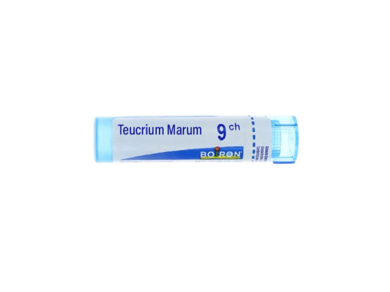 Boiron Teucrium Marum 9CH Tube - 4 g