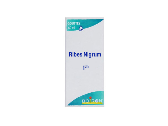 Boiron Ribes Nigrum 1DH Gouttes - 60 ml