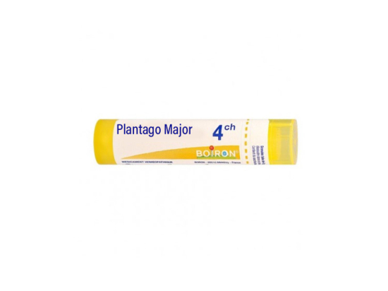 Boiron Plantago Major 4CH Tube - 4 g