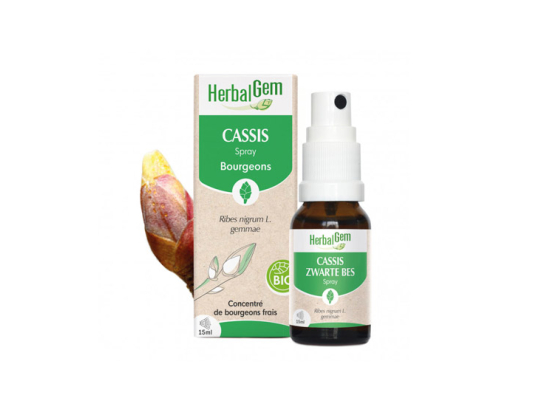 Herbalgem Spray Cassis BIO - 15ml