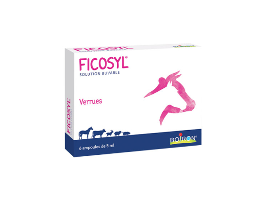 Boiron Ficosyl Ampoules buvables - 6 ampoules de 5 ml