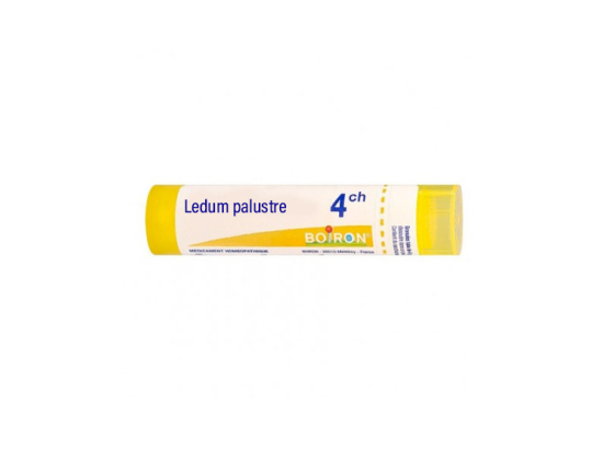 Boiron Ledum palustre 4CH Tube - 4g