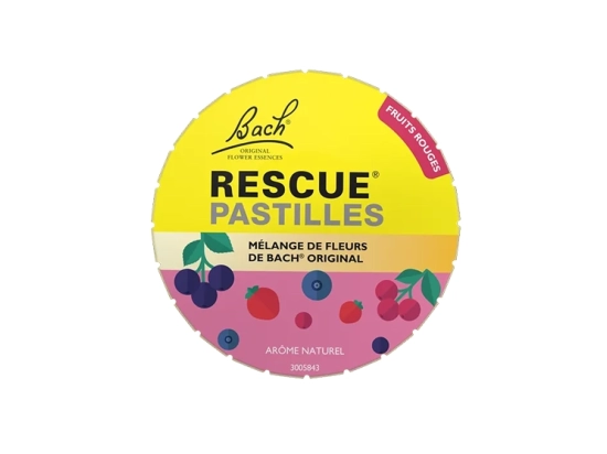 Pastilles Saveur Fruits des Bois - 50g