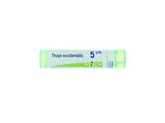 Boiron Thuya occidentalis 5CH Tube - 4g