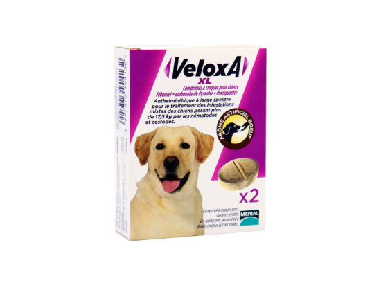 Veloxa XL Comprimés à croquer - x2