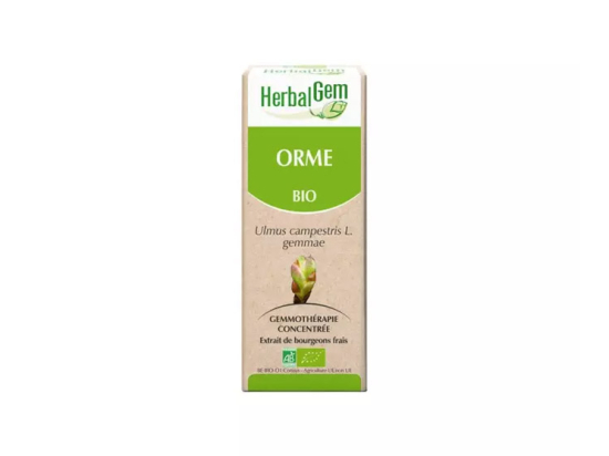 Macérat-Mère Concentré Orme Bio - 30ml