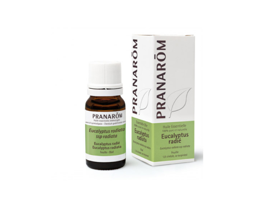 Pranarôm Huile Essentielle d'Eucalyptus radié - 10ml