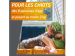 Frontpro Chien M comprimé anti-puces pour chien de 4 à 10 kg - 3 comprimés à croquer