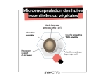 Synactifs ImmunActifs - 30 gélules