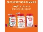 Mag2 Gommes Boost Energie Nervosité - 45 gommes