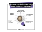 SynActifs DigestActifs BIO - 30 gélules