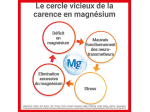 Mag 2 Gommes Nervosité et fatigue Goût Pêche - 45 gommes