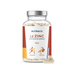 Nutri & Co Le Zinc - 60 gélules