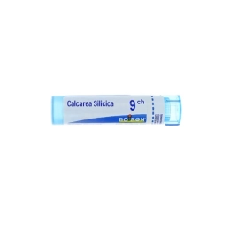 Boiron Calcarea Silicica 9CH Dose - 1g