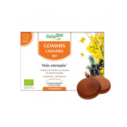 Herbalgem Gommes Chantres BIO - 24 gommes