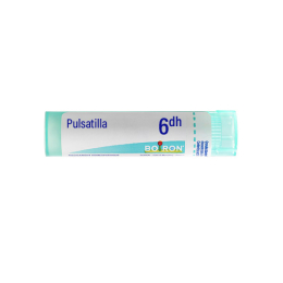 Boiron Pulsatilla 6DH Tube - 4 g