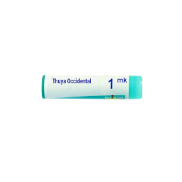 Boiron Thuya Occidental Dose 1MK - 1g