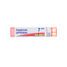 Boiron Eupatorium perfoliatum 7CH Tube - 4g