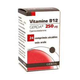 Vitamine B12 250mcg - 24 comprimés